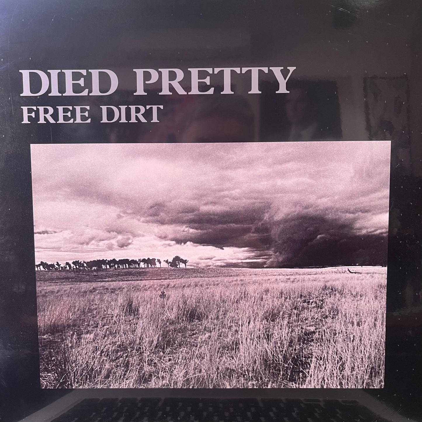 DIED PRETTY - FREE DIRT