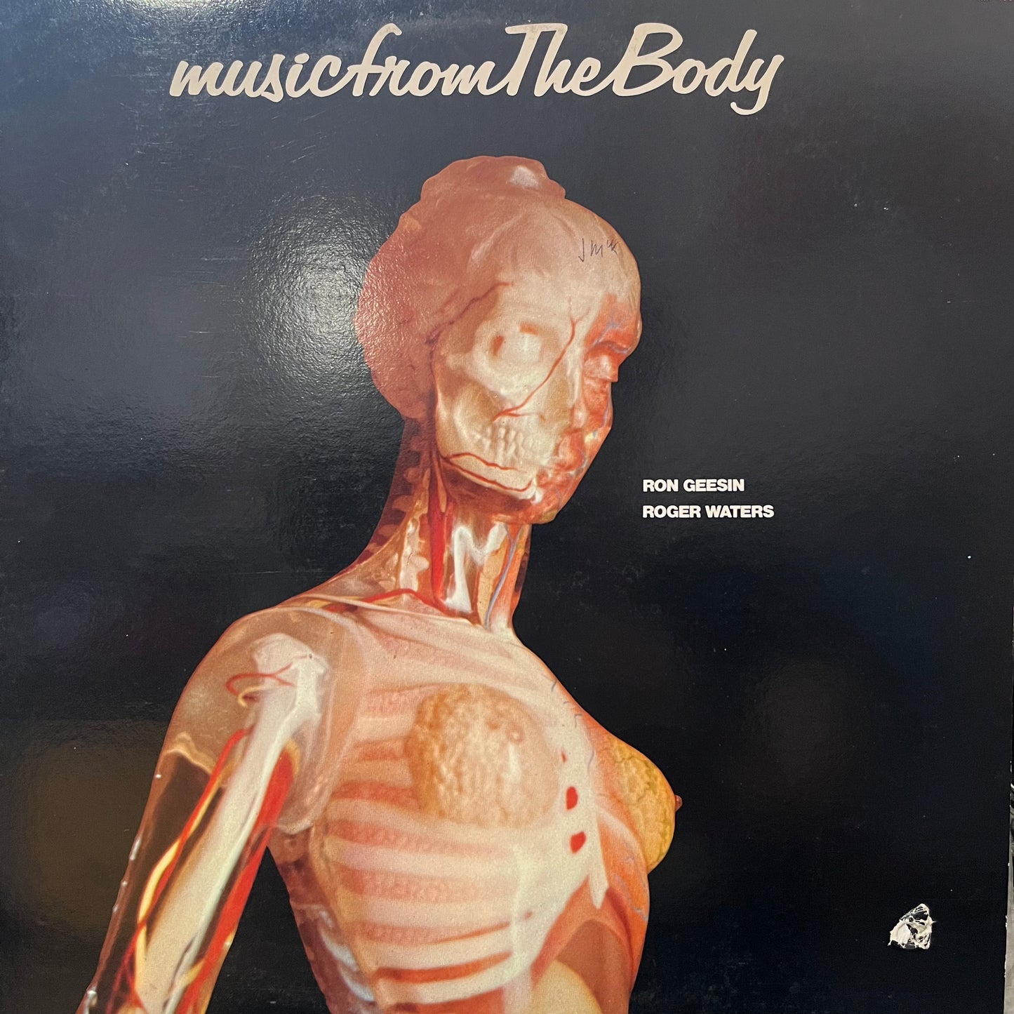 ROGER WATERS / RON GEESIN - MUSIC FROM THE BODY VG/EX