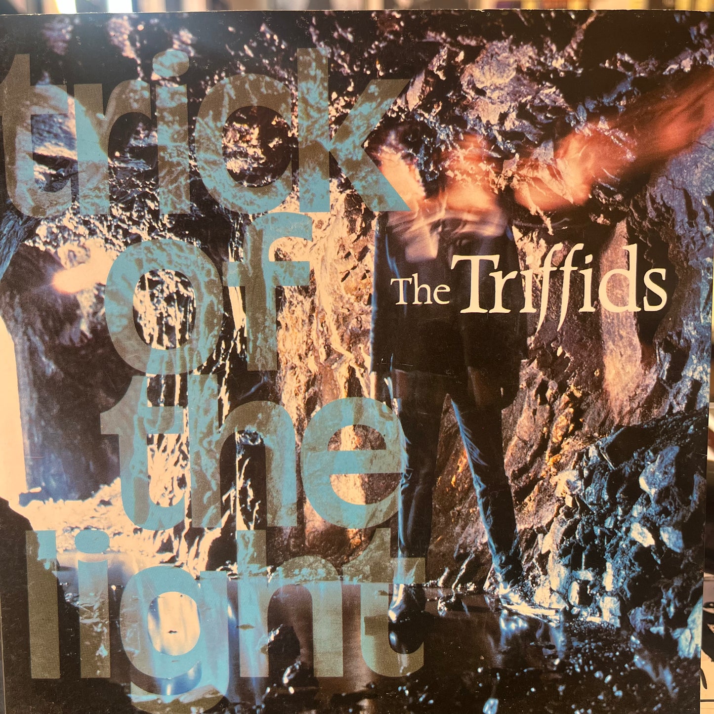 THE TRIFFIDS - TRICK OF THE LIGHT 7" SINGLE