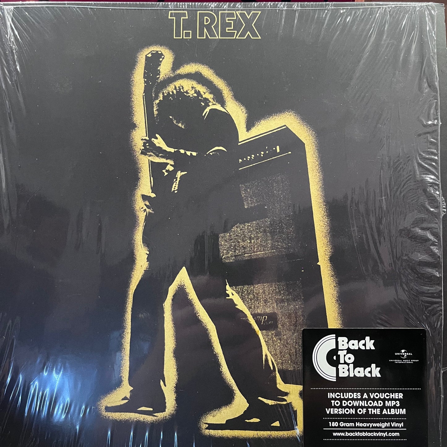 T REX - ELECTRIC WARRIOR