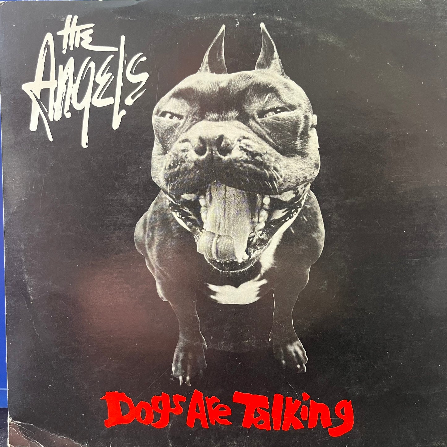 THE ANGELS - DOGS ARE TALKING 7" SINGLE INCLUDES BABY ANIMALS