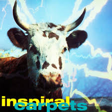 INSPIRAL CARPETS - SHE COMES IN THE FALL NM /NM 1990