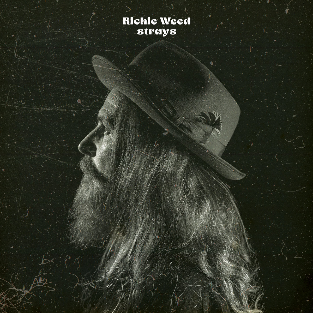 RICHIE WEED - STRAYS LP HIGHLY RECOMMENDED!