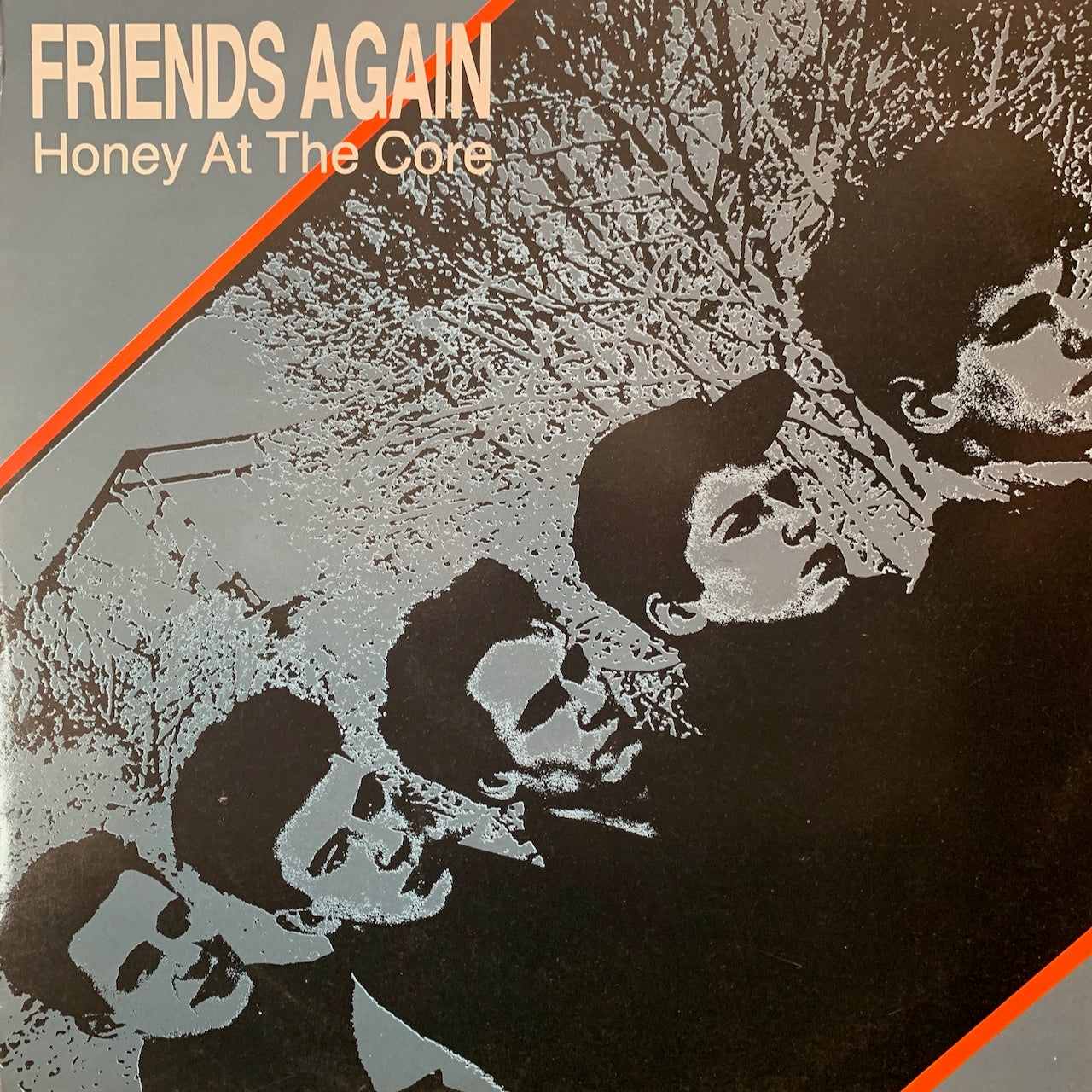 FRIENDS AGAIN - HONEY AT THE CORE VG+/VG+ 1984