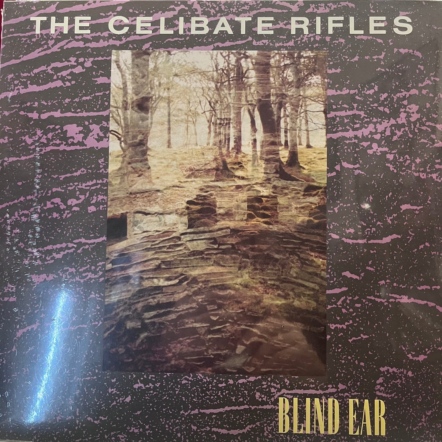 CELIBATE RIFLES - BLIND EAR