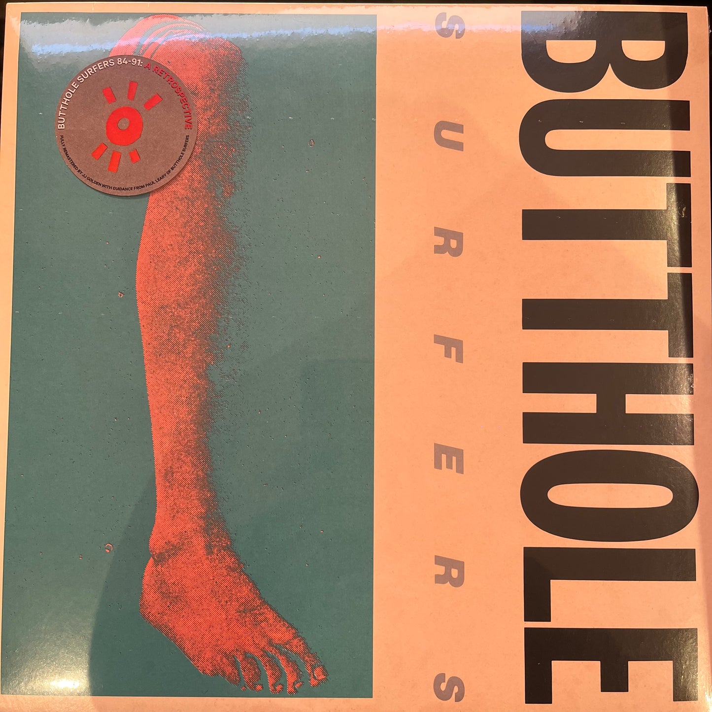 BUTTHOLE SURFERS - REMBRANDT PUSSYHORSE / 2024 REISSUES