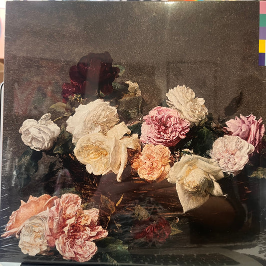 NEW ORDER POWER, CORRUPTION, LIES