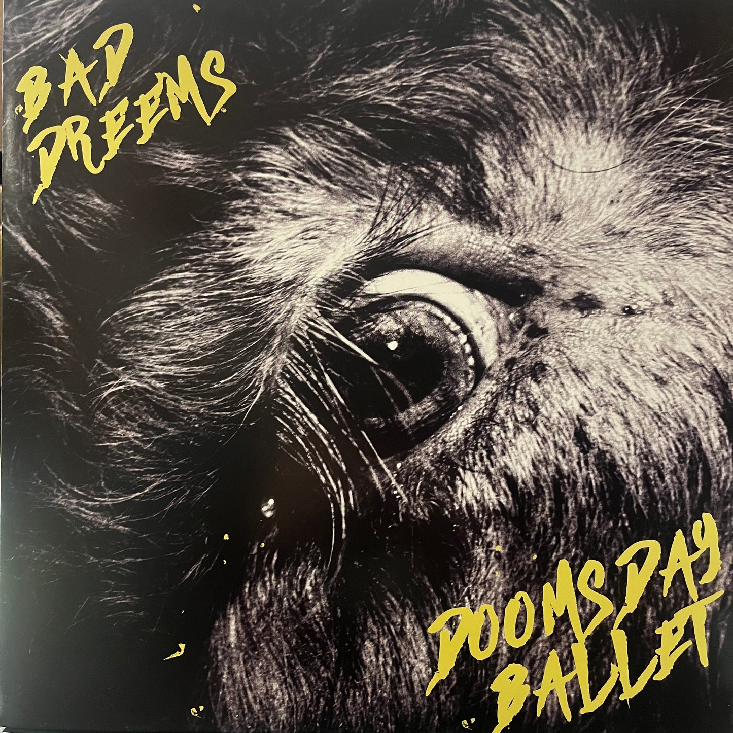 BAD DREEMS - DOOMSDAY BALLET  2019