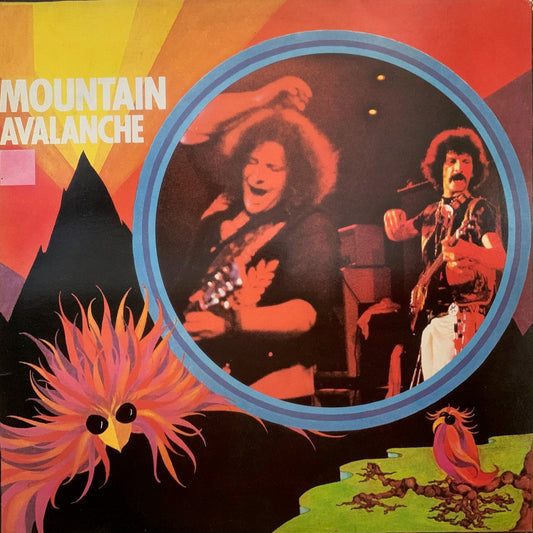 MOUNTAIN - AVALANCHE    NM /NM  1987